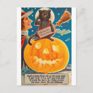 Carte Postale Chat noir est assis sur une grosse citrouille bril