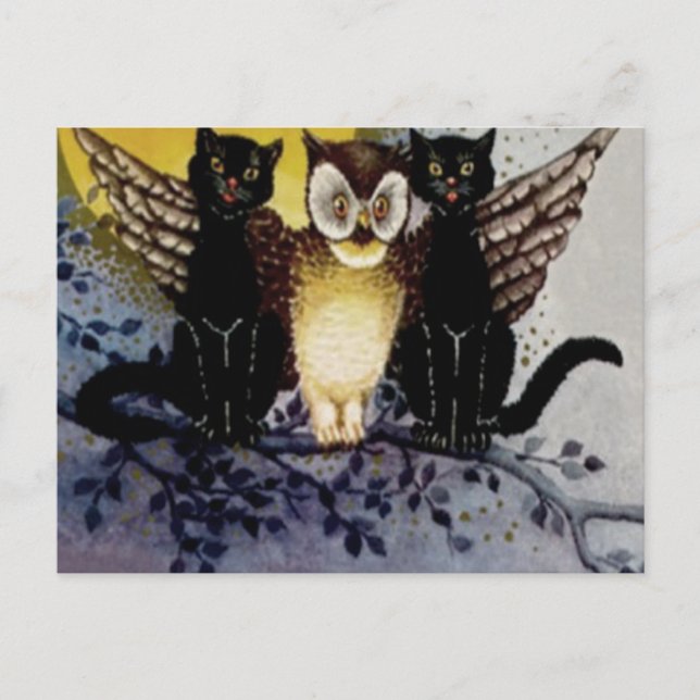 Carte Postale Chat noir Hibou Pleine lune Arbre Nuit (Devant)