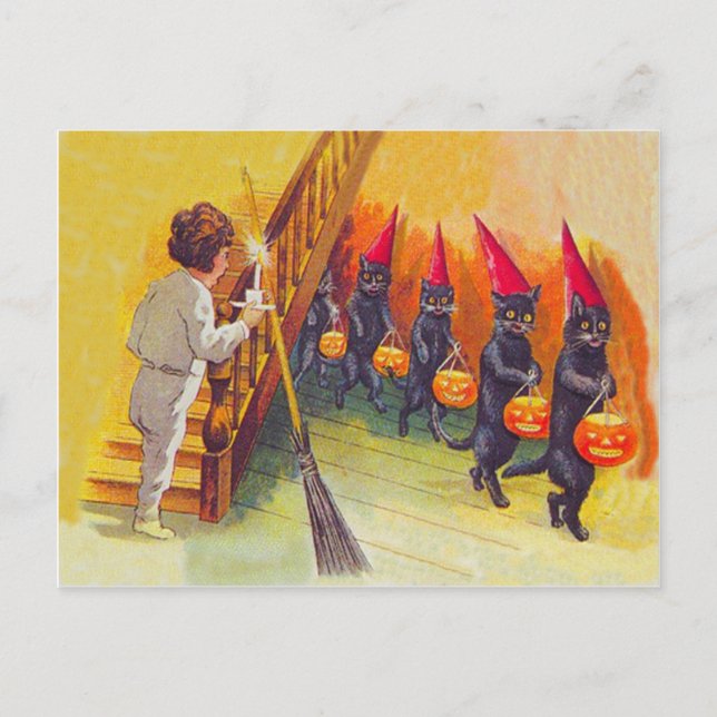 Carte Postale Chat Noir Jack O Lanterne Citrouille Balai (Devant)