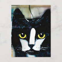 Chat noir multimédia mixte