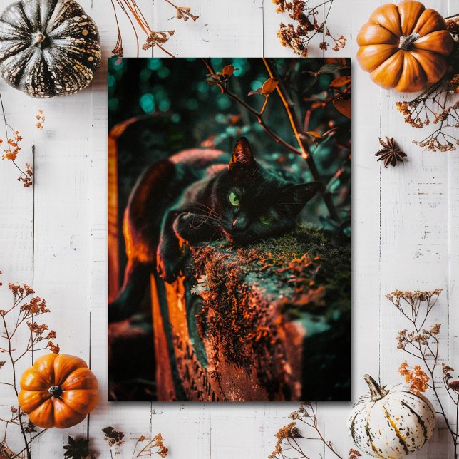 Carte Postale Chat noir occulte gothique au cimetière (Créateur téléchargé)