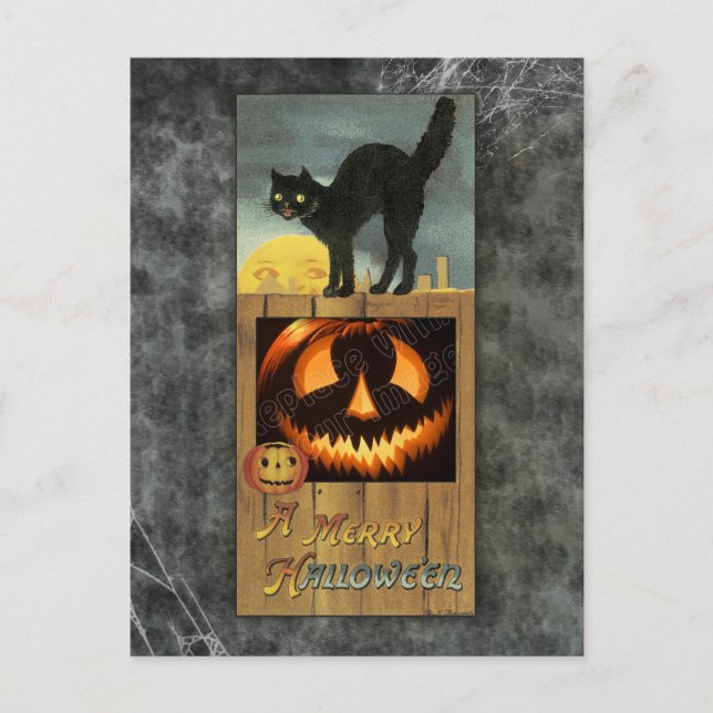 Carte Postale Chat noir sur une clôture en bois avec citrouille (Devant)