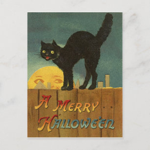 Carte Postale Chat noir sur une clôture la nuit d'Halloween, vin