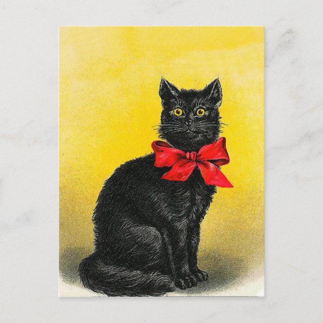 Carte Postale Chat noir vintage (Devant)