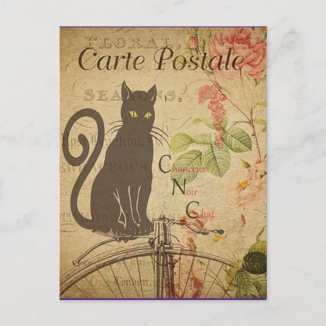 Carte Postale Chat noir vintage, (Devant)