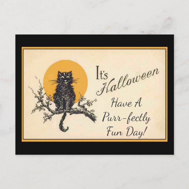 Carte Postale Chat noir vintage (Devant)