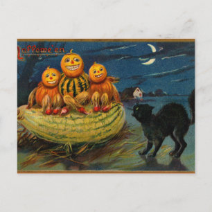 Carte Postale Chat noir vintage Halloween Citrouille