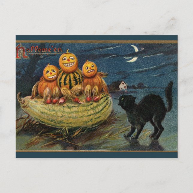 Carte Postale Chat noir vintage Halloween Citrouille (Devant)