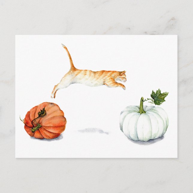 Carte Postale Chat orange Saupoudré entre Citrouilles (Devant)