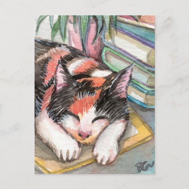 Carte Postale Chat par les livres (Devant)