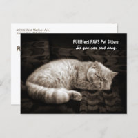 Chat persan dormant dans Sepia Tones Pet Sitter