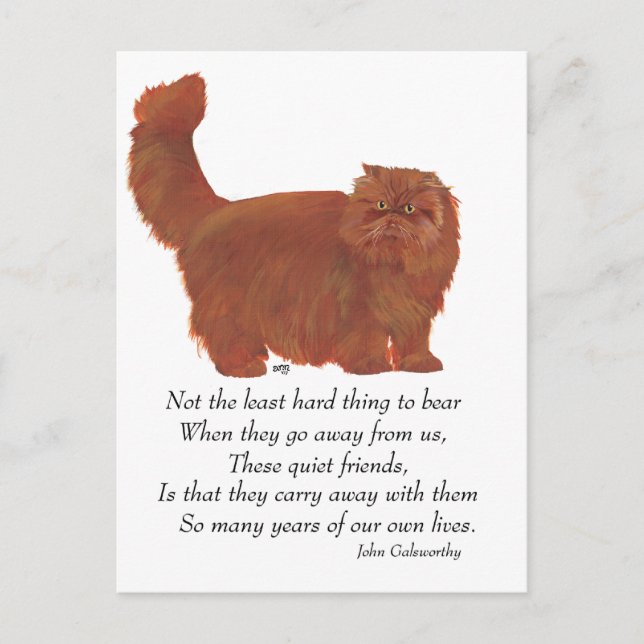 Carte Postale Chat Persan Rouge Pont Arc-en-ciel (Devant)