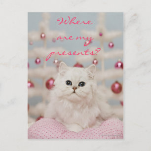 Carte Postale Chat perse assis sur un coussin rose