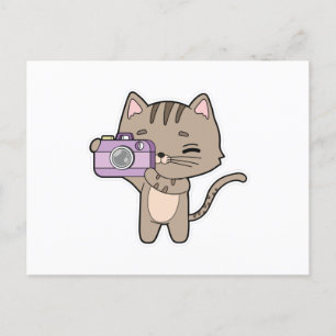 Carte Postale Chat photographe avec caméra