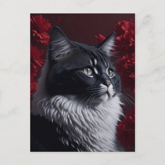 Carte Postale chat po