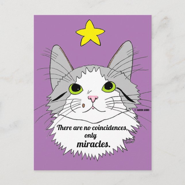 Carte Postale Chat Ragdoll Inspirant Seulement des Miracles (Devant)