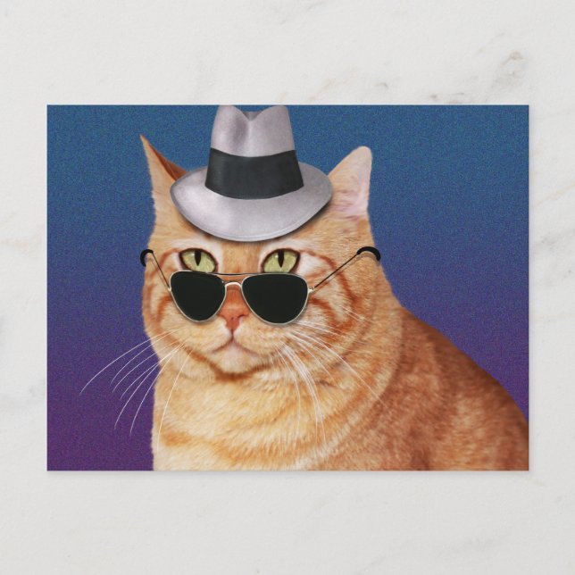 Carte Postale Chat rayé jaune avec lunettes de soleil et Casquet (Devant)
