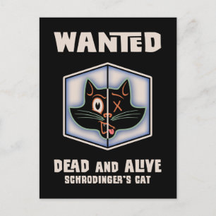 Carte Postale Chat Recherché de Schrodinger