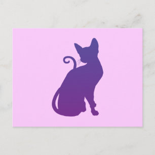 Carte Postale Chat rose et violet