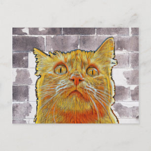 Carte Postale Chat rouge en difficulté.