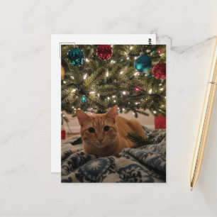 Carte Postale Chat roux sous l'arbre de Noël