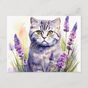Carte Postale Chat Scottish Fold aquarelle dans un champ de lava