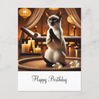 Chat siamois à la fête d'anniversaire au spa