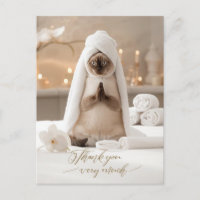 Chat siamois au spa Merci beaucoup