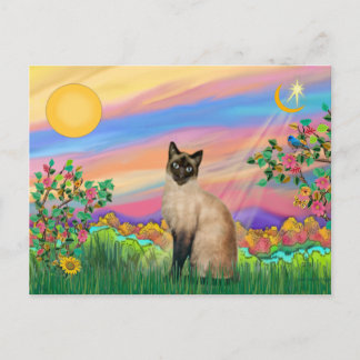 Carte Postale Chat siamois - Étoile du jour