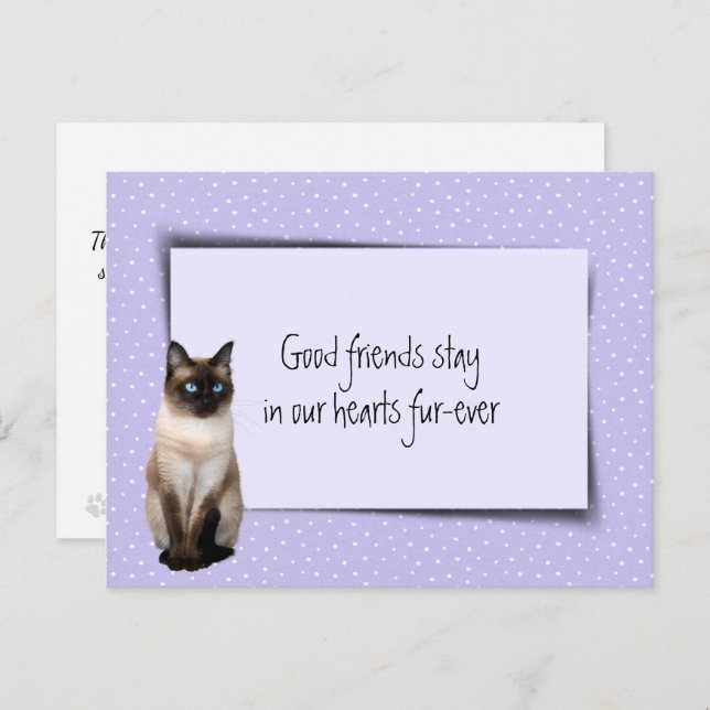 Carte Postale Chat siamois perte de compagnie de la part du vété (Devant / Derrière)