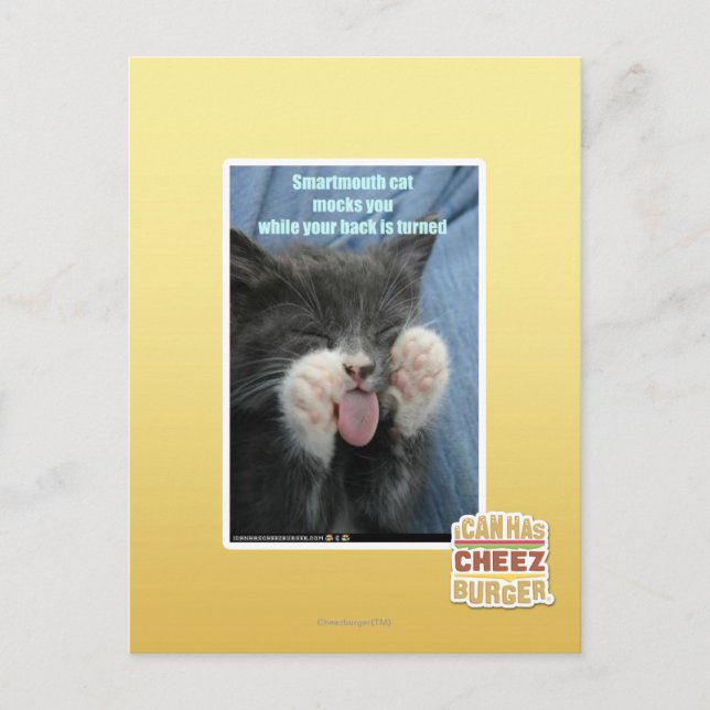Carte Postale Chat Smartmouth (Devant)