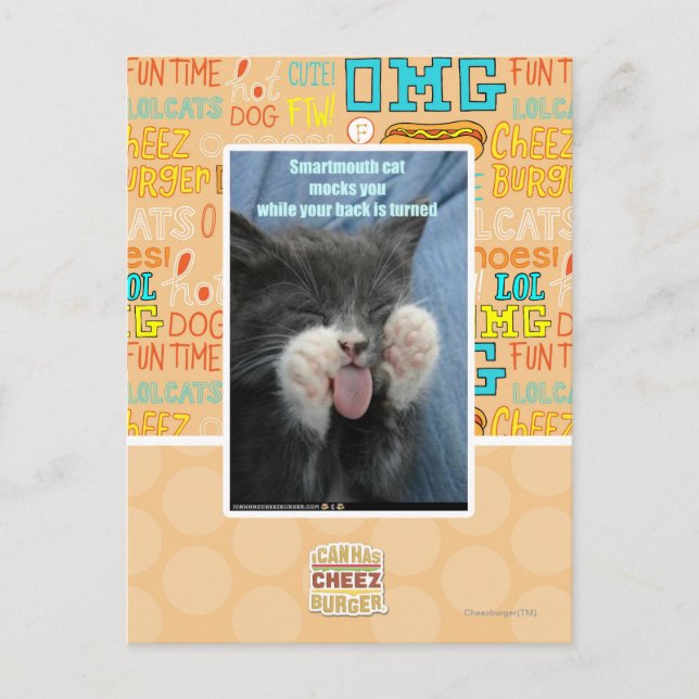 Carte Postale Chat Smartmouth (Devant)