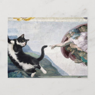 Carte Postale Chat smoking touchant la patte divine