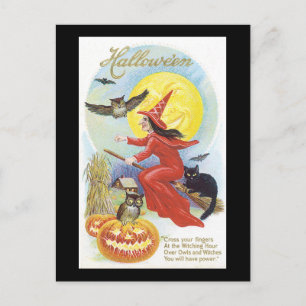 Carte Postale Chat, sorcière et hibou noir d'Halloween