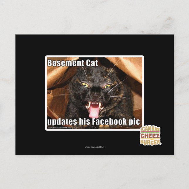 Carte Postale Chat sous-sol (Devant)