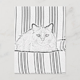 Carte postale - Chat sur chaise à rayures à couleu