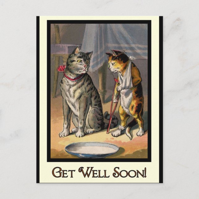 Carte Postale Chat sur Crutches (Devant)