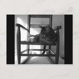 Carte Postale Chat sur rocker