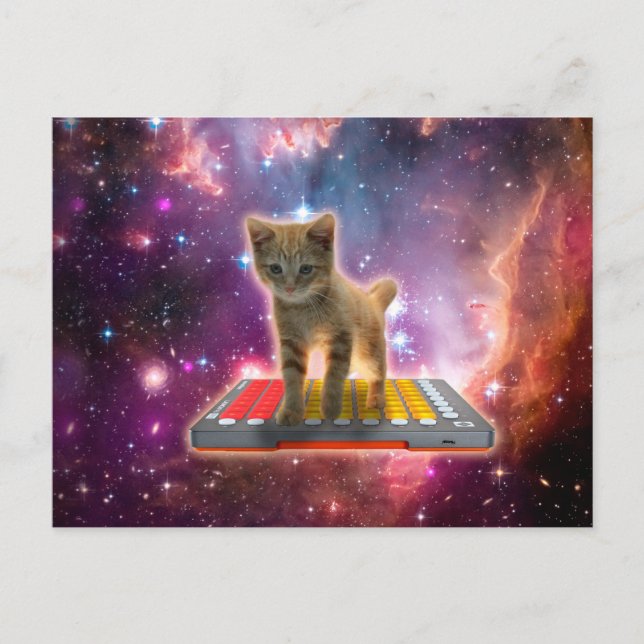 Carte Postale Chat sur synthétiseurs dans l'espace (Devant)