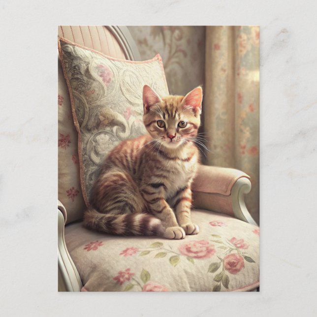 Carte Postale Chat sur une chaise (Shabby Chic) (Devant)