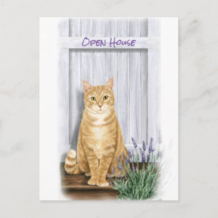 Carte Postale Chat Tabby Orange à la porte avec Fleurs de Lavand