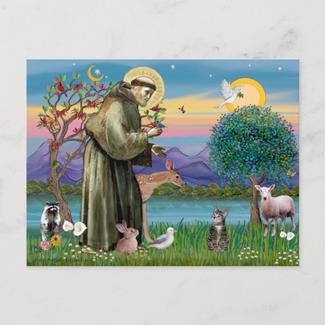 Carte Postale Chat (Tigré 2) - Saint François (Devant)