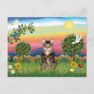 Carte Postale Chat Tigre Tabby 1 - Campagne Lumineuse