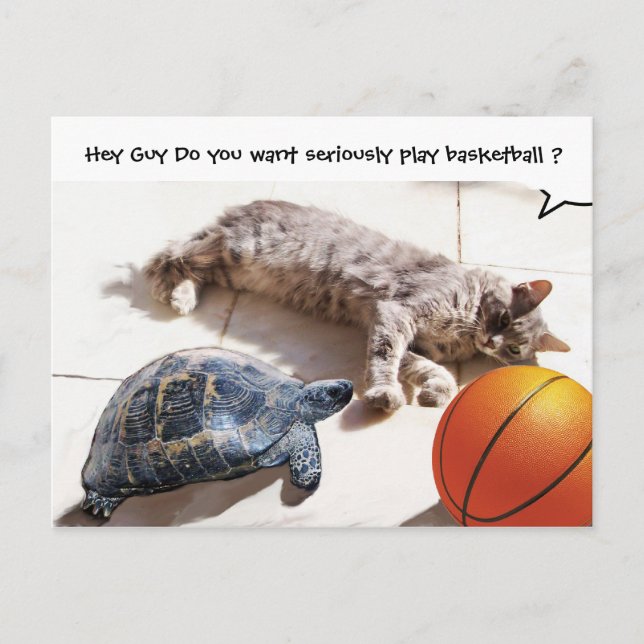 CARTE POSTALE CHAT, TORTUE ET BASKETBALL (Devant)
