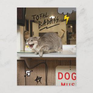 Carte Postale Chat total Badass