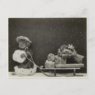 Carte Postale Chat traineau noël