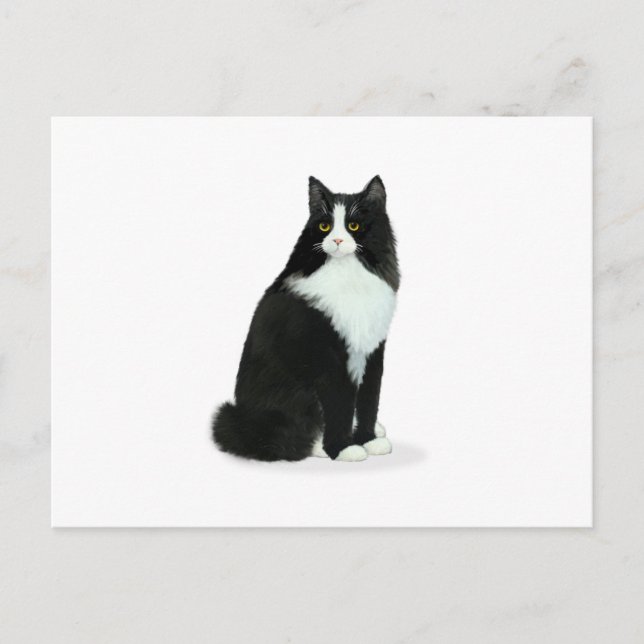 Carte Postale Chat Tuxedo à Poils Longs (Devant)