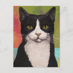 Carte Postale Chat Tuxedo Coloré