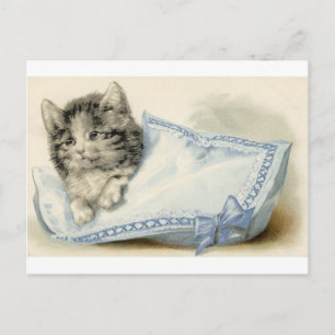 Carte Postale Chat victorien vintage Kitten
