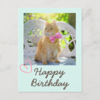Chat vintage au ruban et Joyeux Anniversaire 